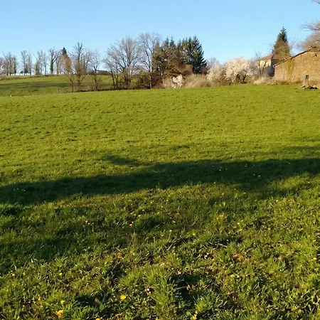 Nyaraló Maison Spacieuse A St Constant Fournoules Avec Jardin